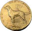 Irish Setter Club Of America